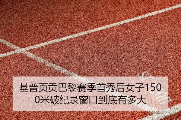 ji-pu-ye-gong-ba-li-sai-ji-shou-xiu-hou-nv-zi-mi-po-ji-lu-chuang-kou-dao-di-you-duo-da-2-859.jpg
