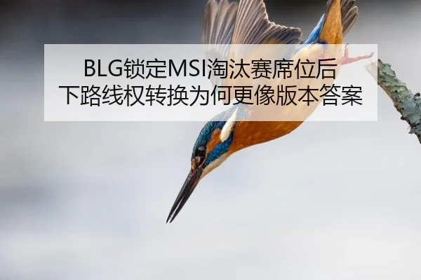 BLG锁定MSI淘汰赛席位后 下路线权转换为何更像版本答案