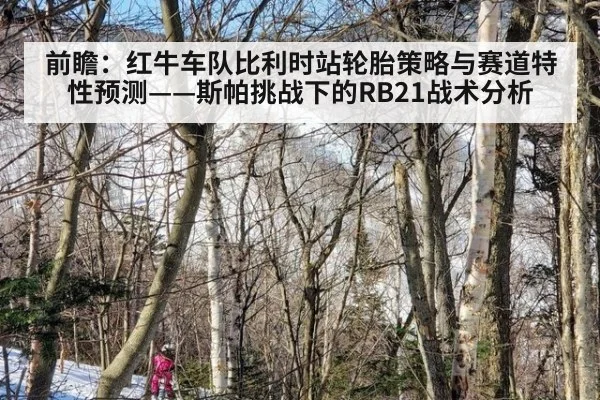 前瞻:红牛车队比利时站轮胎策略与赛道特性预测——斯帕挑战下的RB21战术分析